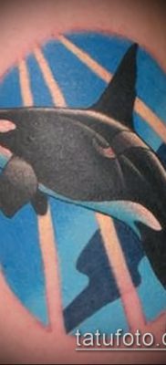 Фото тату касатка — 19052017 — пример — 036 Tattoo Killer whale
