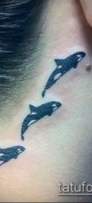 Фото тату касатка — 19052017 — пример — 041 Tattoo Killer whale