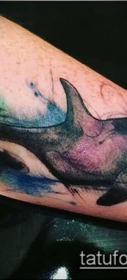 Фото тату касатка — 19052017 — пример — 047 Tattoo Killer whale