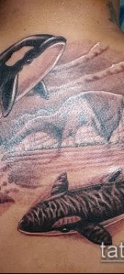 Фото тату касатка — 19052017 — пример — 050 Tattoo Killer whale