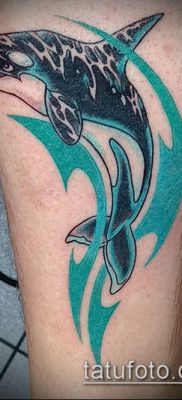 Фото тату касатка — 19052017 — пример — 066 Tattoo Killer whale
