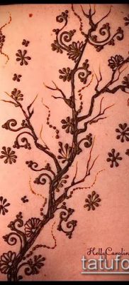 Фото тату рисунки хной (tattoo of henna) (значение) — пример рисунка — 042 tatufoto.com