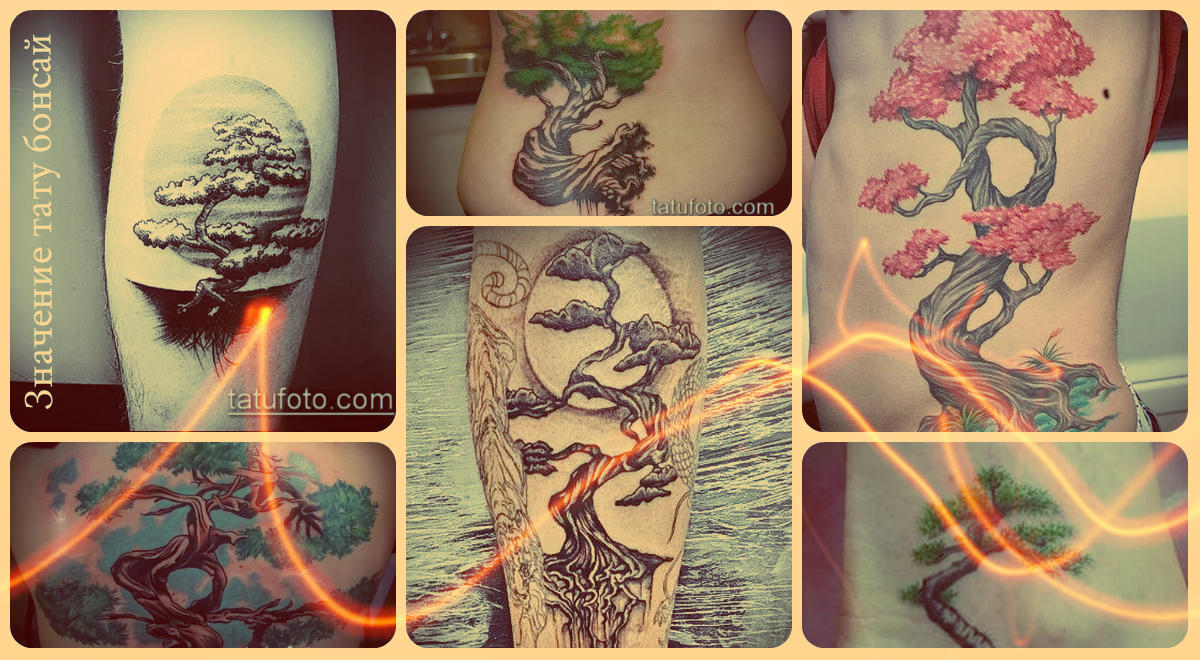 Значение тату бонсай - варианты оригинальных татуировок на фото