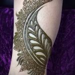 Фото Мехенди перо - 05062017 - пример - 010 Mehendi Feather