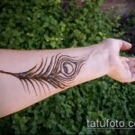 Фото Мехенди перо - 05062017 - пример - 013 Mehendi Feather