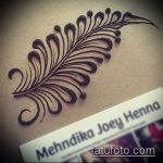Фото Мехенди перо - 05062017 - пример - 021 Mehendi Feather