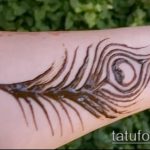 Фото Мехенди перо - 05062017 - пример - 025 Mehendi Feather