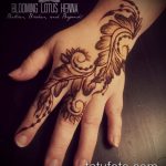Фото Мехенди перо - 05062017 - пример - 034 Mehendi Feather