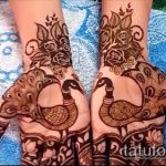 Фото Мехенди перо - 05062017 - пример - 041 Mehendi Feather