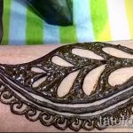 Фото Мехенди перо - 05062017 - пример - 053 Mehendi Feather