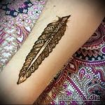 Фото Мехенди перо - 05062017 - пример - 060 Mehendi Feather