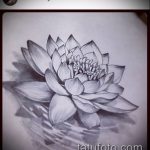 Фото Эскизы тату лотос - 19062017 - пример - 001 Sketches of tattoo lotus - tatufoto.com