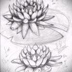 Фото Эскизы тату лотос - 19062017 - пример - 003 Sketches of tattoo lotus - tatufoto.com