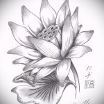Фото Эскизы тату лотос - 19062017 - пример - 013 Sketches of tattoo lotus - tatufoto.com