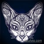 Фото кошка хной - мехенди - 12062017 - пример - 014 Cat henna - mehendi
