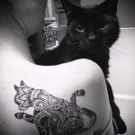 Фото кошка хной - мехенди - 12062017 - пример - 017 Cat henna - mehendi