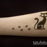 Фото кошка хной - мехенди - 12062017 - пример - 031 Cat henna - mehendi