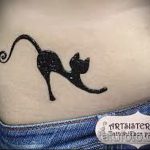 Фото кошка хной - мехенди - 12062017 - пример - 033 Cat henna - mehendi