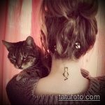 Фото кошка хной - мехенди - 12062017 - пример - 037 Cat henna - mehendi