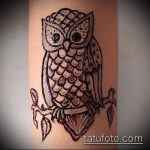 Фото рисунок совы хной мехенди - 04062017 - пример - 027 owl henna