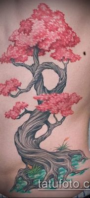 Фото тату бонсай — 19062017 — пример — 001 Bonsai tattoo — tatufoto.com