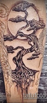 Фото тату бонсай — 19062017 — пример — 005 Bonsai tattoo — tatufoto.com