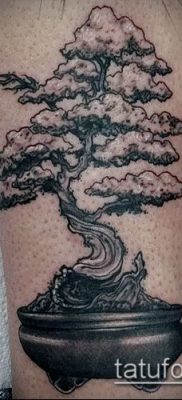 Фото тату бонсай — 19062017 — пример — 007 Bonsai tattoo — tatufoto.com