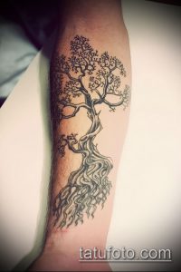 Черно-белое фото тату дерева на предплечье. Изящные линии, детальная проработка ветвей и корней, минималистичный дизайн.