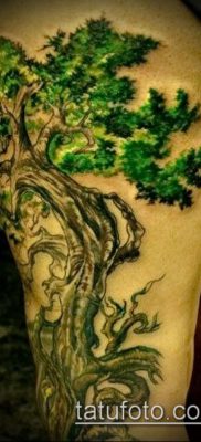 Фото тату бонсай — 19062017 — пример — 016 Bonsai tattoo — tatufoto.com