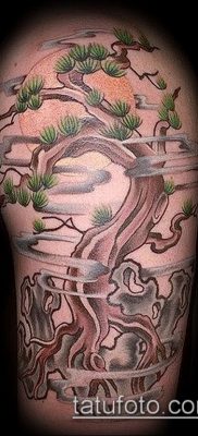 Фото тату бонсай — 19062017 — пример — 021 Bonsai tattoo — tatufoto.com