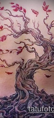Фото тату бонсай — 19062017 — пример — 023 Bonsai tattoo — tatufoto.com
