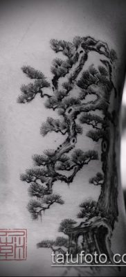 Фото тату бонсай — 19062017 — пример — 029 Bonsai tattoo — tatufoto.com