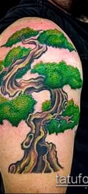 Фото тату бонсай — 19062017 — пример — 034 Bonsai tattoo — tatufoto.com