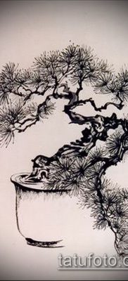 Фото тату бонсай — 19062017 — пример — 038 Bonsai tattoo — tatufoto.com