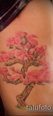Фото тату бонсай — 19062017 — пример — 042 Bonsai tattoo — tatufoto.com