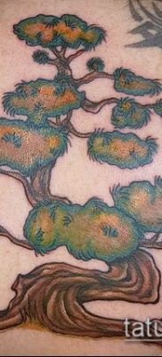 Фото тату бонсай — 19062017 — пример — 044 Bonsai tattoo — tatufoto.com