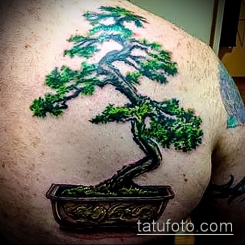 Фото тату бонсай - 19062017 - пример - 046 Bonsai tattoo - tatufoto.com