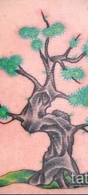 Фото тату бонсай — 19062017 — пример — 054 Bonsai tattoo — tatufoto.com