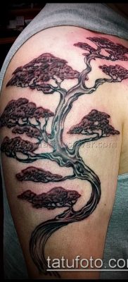 Фото тату бонсай — 19062017 — пример — 054 Bonsai tattoo — tatufoto.com 234222