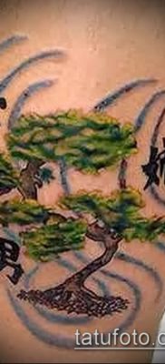 Фото тату бонсай — 19062017 — пример — 059 Bonsai tattoo — tatufoto.com