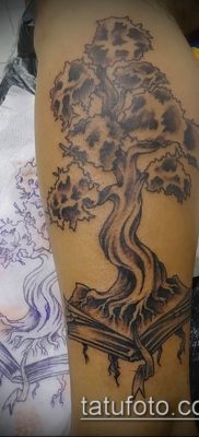 Фото тату бонсай — 19062017 — пример — 063 Bonsai tattoo — tatufoto.com