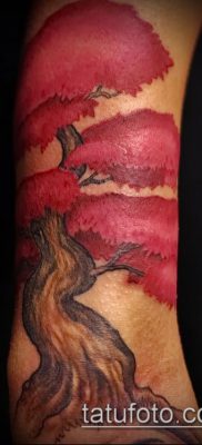 Фото тату бонсай — 19062017 — пример — 067 Bonsai tattoo — tatufoto.com