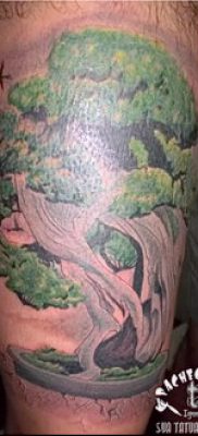Фото тату бонсай — 19062017 — пример — 071 Bonsai tattoo — tatufoto.com