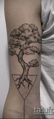 Фото тату бонсай — 19062017 — пример — 080 Bonsai tattoo — tatufoto.com