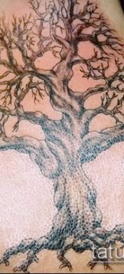 Фото тату бонсай — 19062017 — пример — 083 Bonsai tattoo — tatufoto.com
