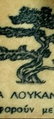 Фото тату бонсай — 19062017 — пример — 087 Bonsai tattoo — tatufoto.com