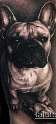 Фото тату бульдог — 03062017 — пример — 001 Bulldog tattoo