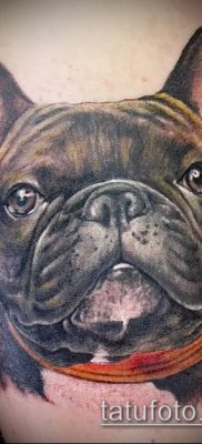 Фото тату бульдог — 03062017 — пример — 002 Bulldog tattoo