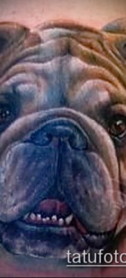 Фото тату бульдог — 03062017 — пример — 003 Bulldog tattoo