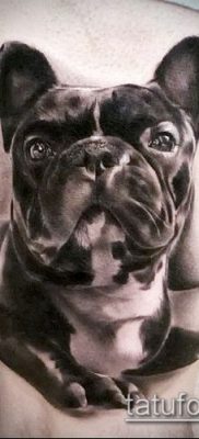 Фото тату бульдог — 03062017 — пример — 005 Bulldog tattoo